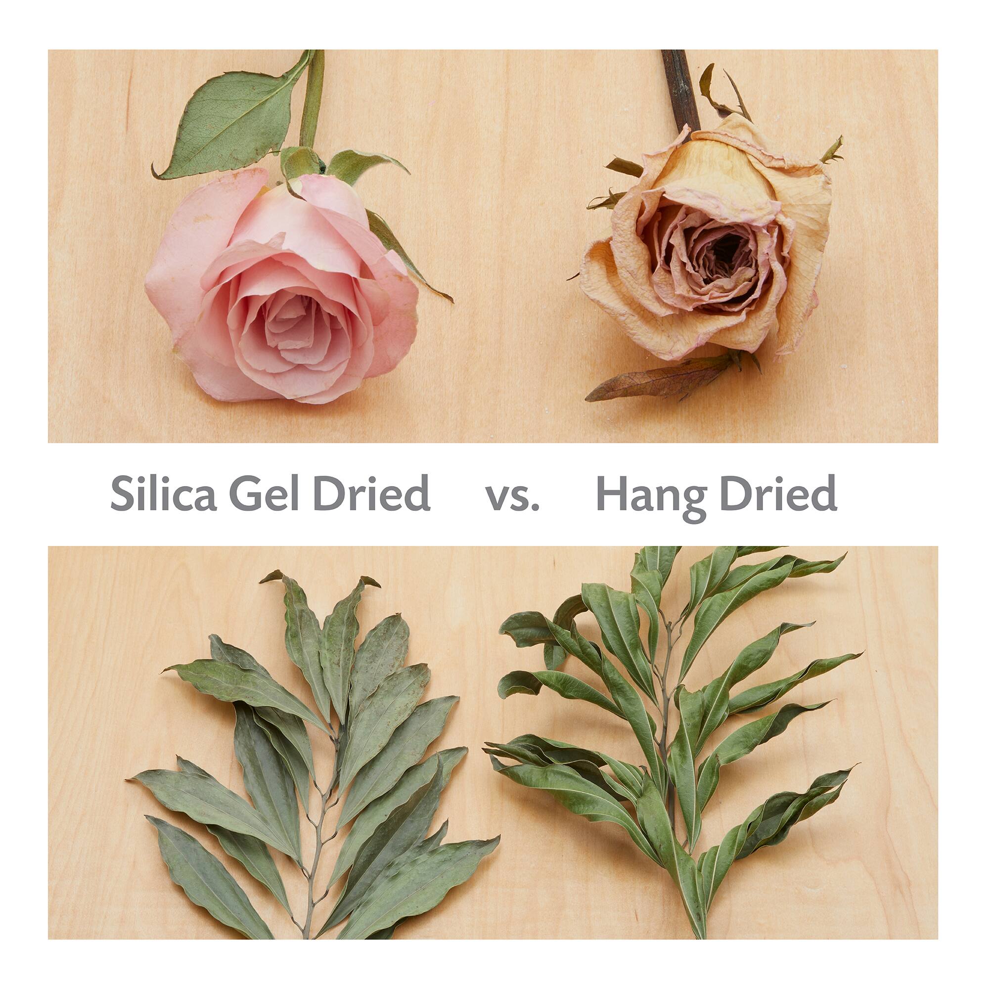 Flower Drying Silica by Ashland®
